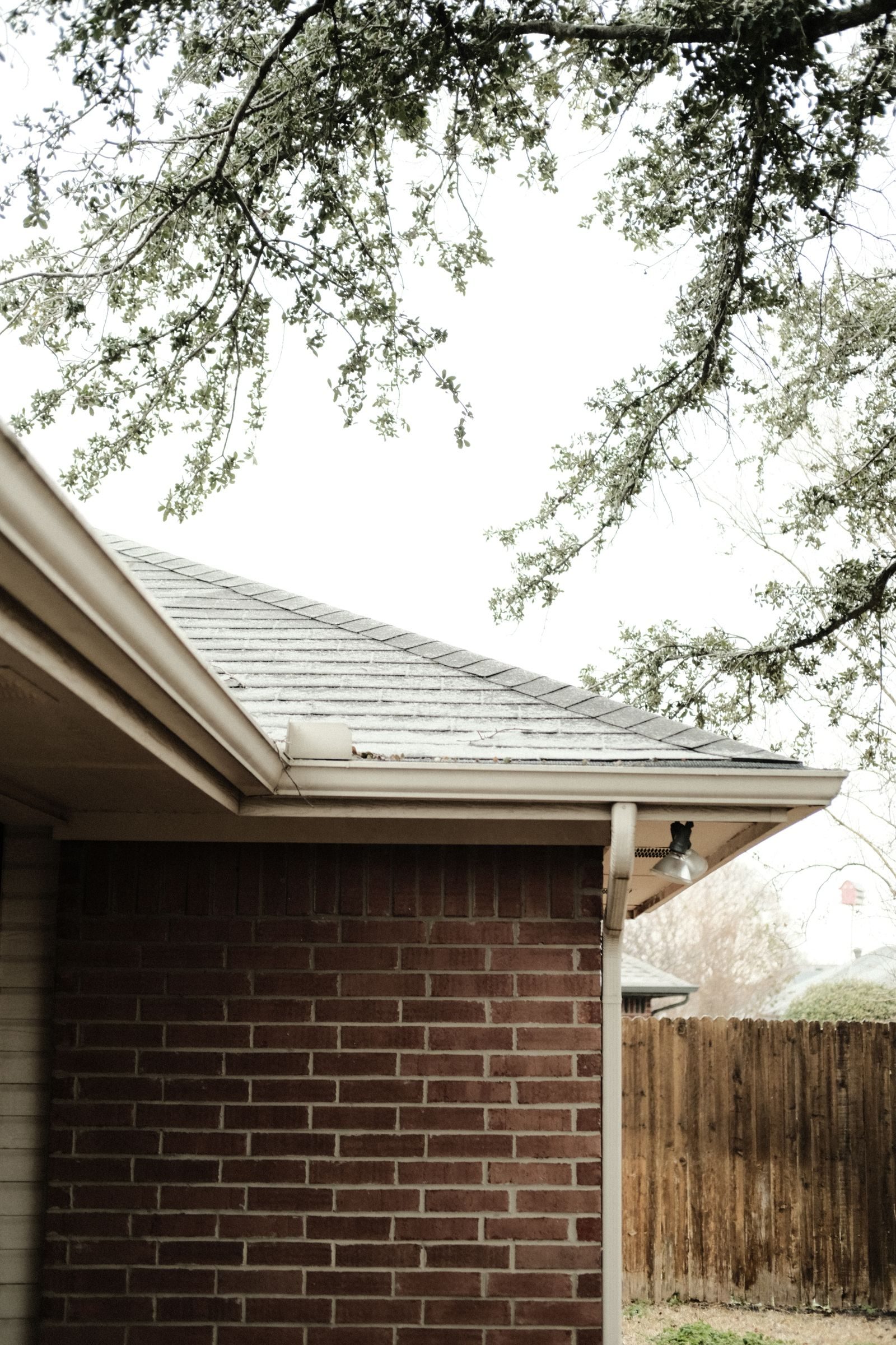 A brick house roofline with gutters under the trees